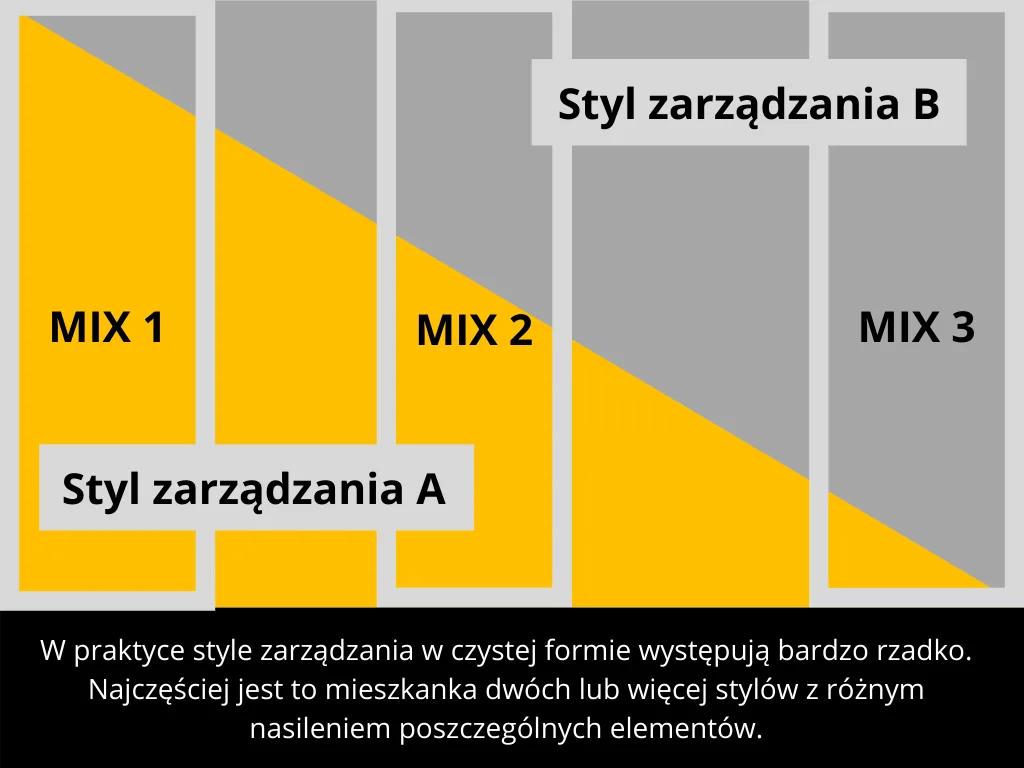 style zarządzania