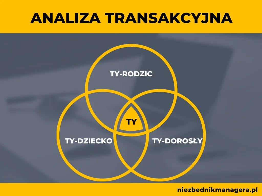 feedback Analiza transakcyjna