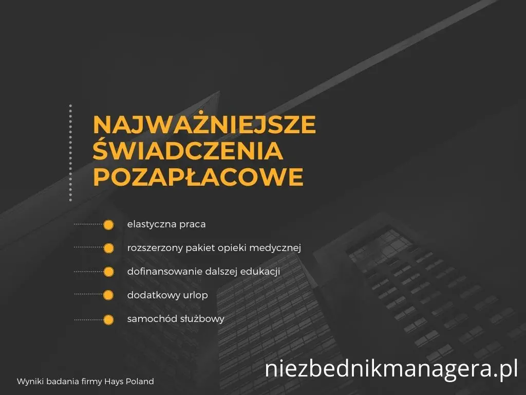 idealna praca